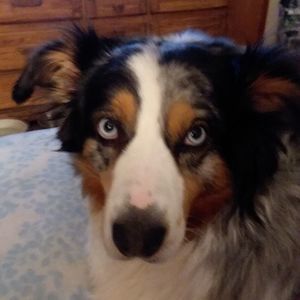 Meet your Posher, Leslie